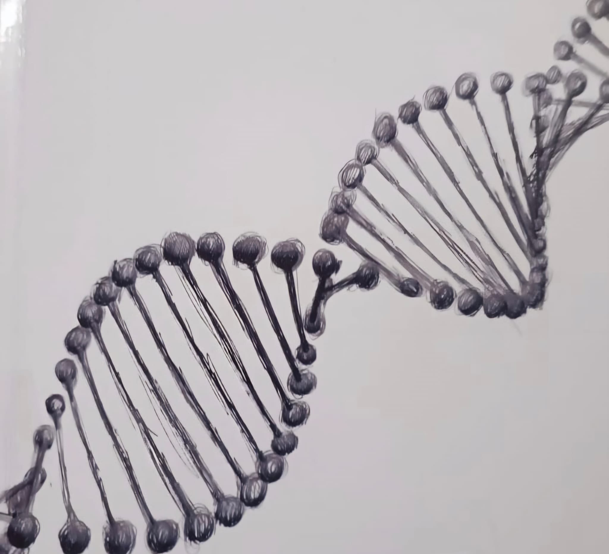 WhatsApp Image 2025-10-20 at 2.44.56 AM