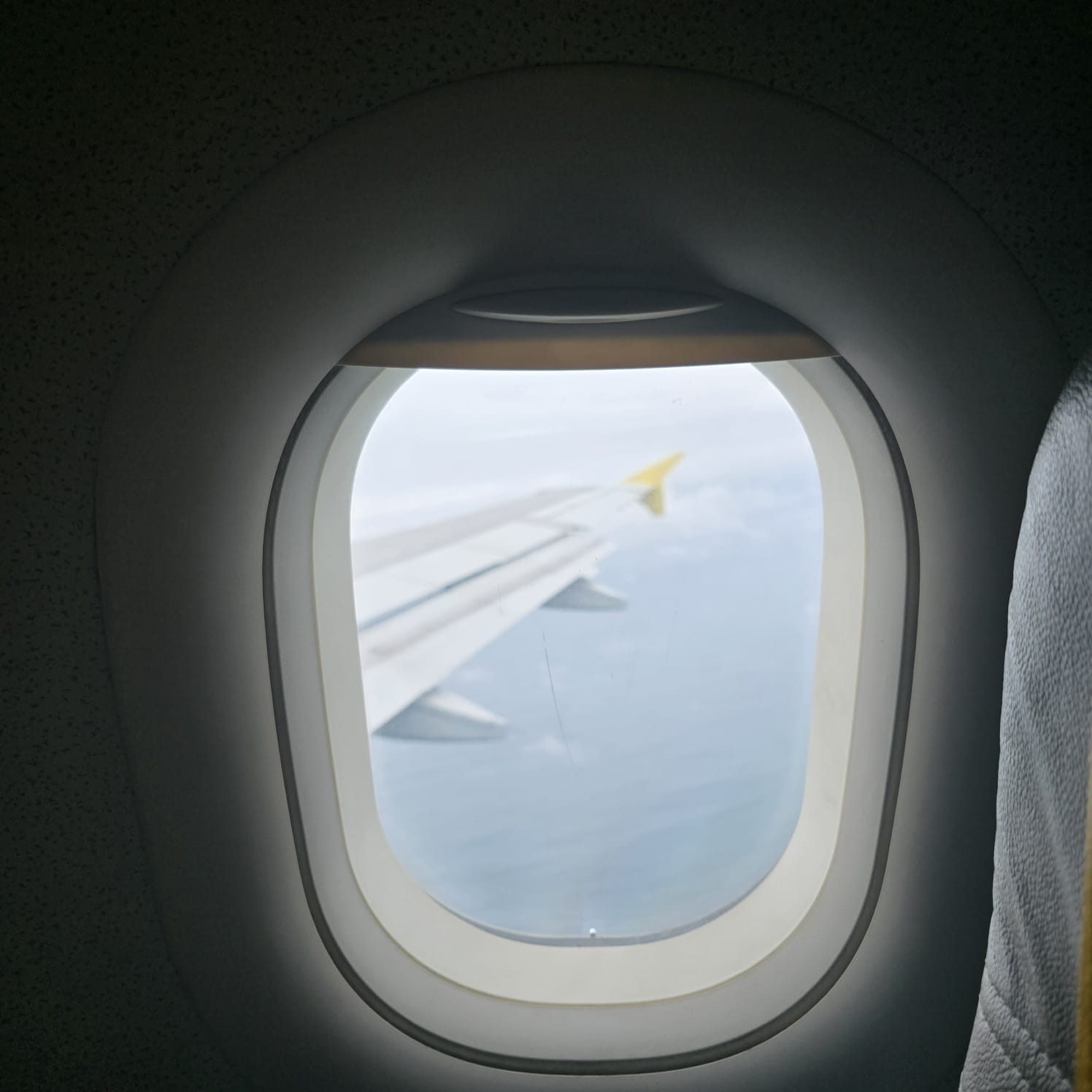 WhatsApp Image 2026-03-09 at 6.07.18 AM