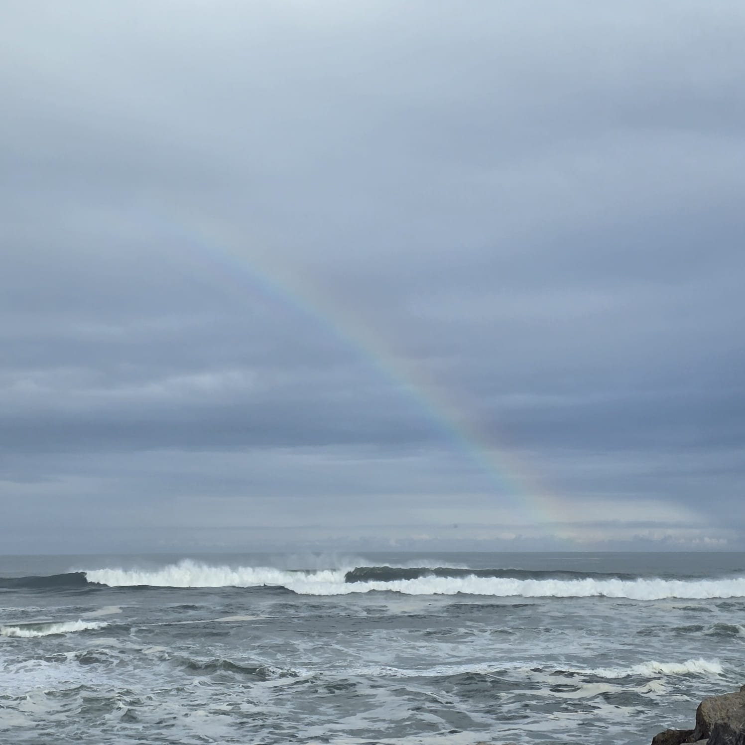 WhatsApp Image 2026-03-09 at 6.07.19 AM (1)